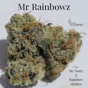 Mr Rainbowz