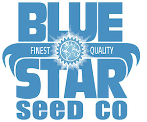 Blue Star Seed Co
