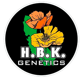 HBK Genetics